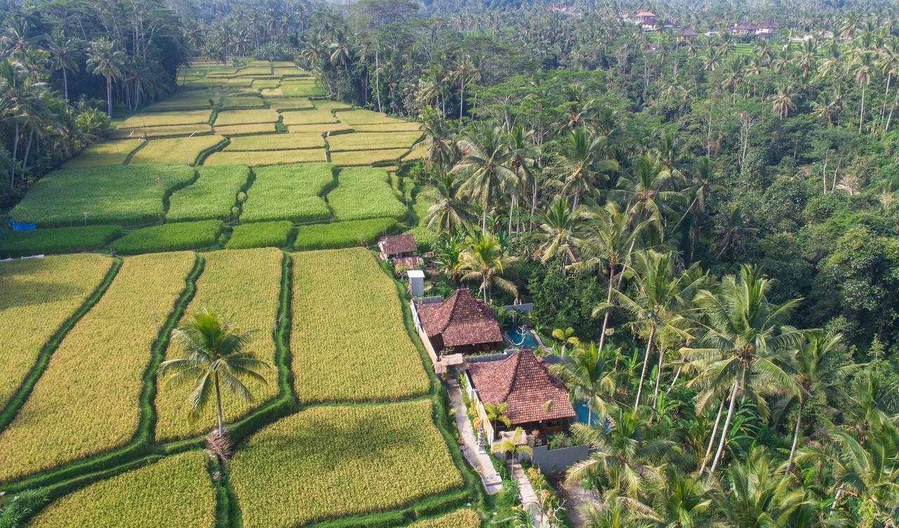 Mandana Ubud
