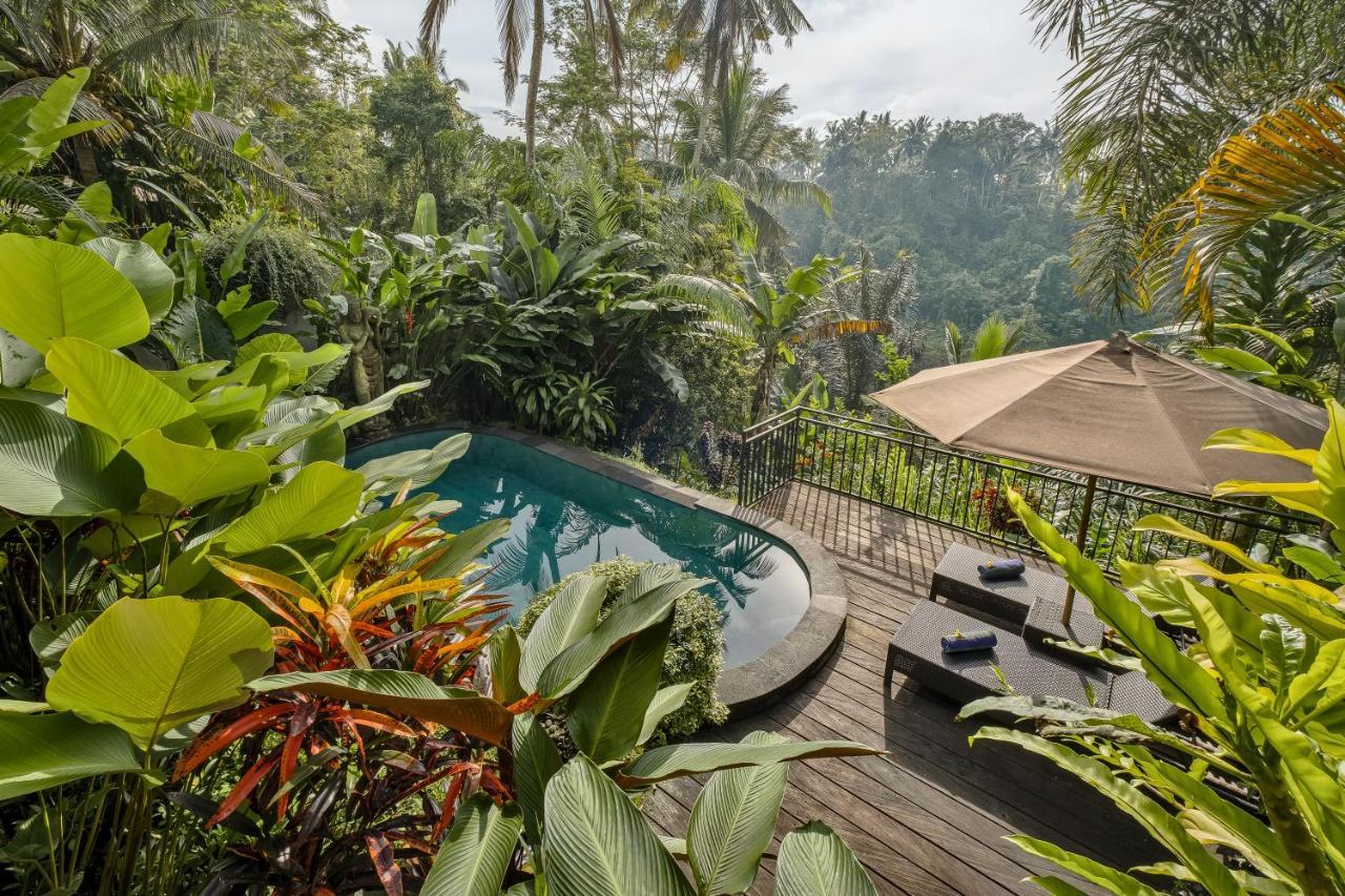 Mandana * Ubud